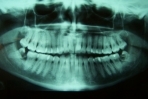 service_1_image_22.jpg